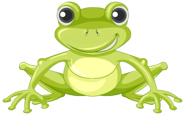Roztomilý Zelený Žába Kreslený Znak Ilustrace — Stockový vektor