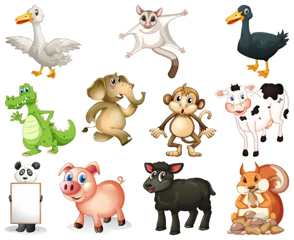 Set Animal Cartoon Character Illustration — Stock Vector