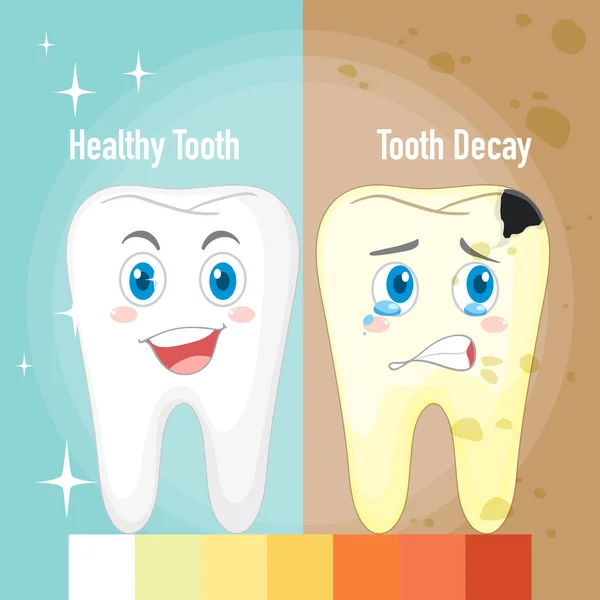Infografía Dientes Sanos Ilustración Caries Dental — Archivo Imágenes Vectoriales