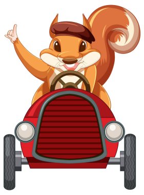 Beyaz arkaplanda araba süren bir sincap.