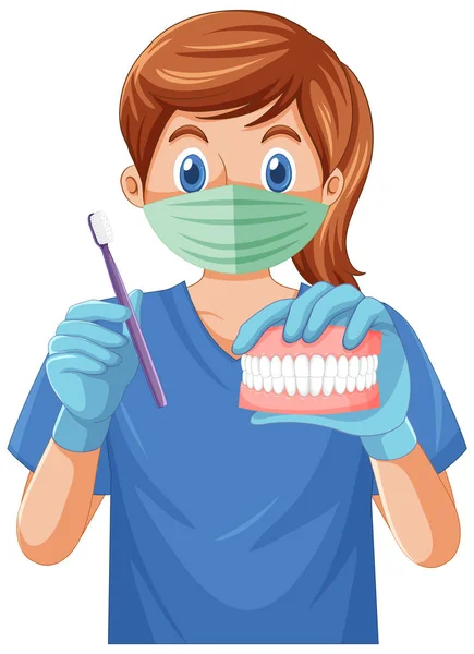 Dentist Holding Toothbrush Human Teeth Model Illustration — Stock Vector