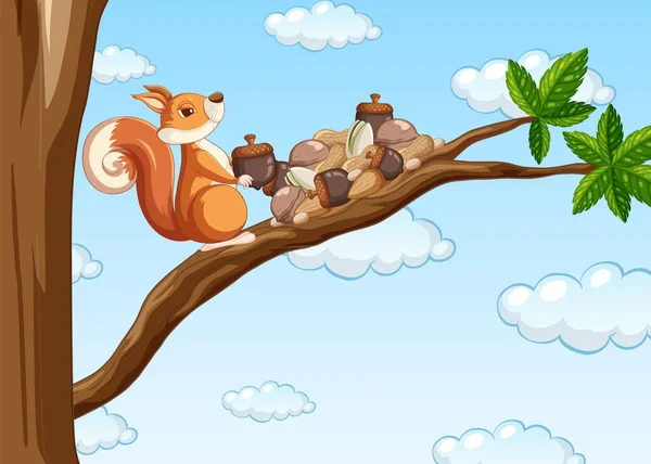 松鼠在树枝图上采集坚果 — 图库矢量图片