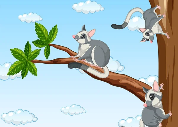 Sugargliders Grimpant Sur Illustration Arbre — Image vectorielle