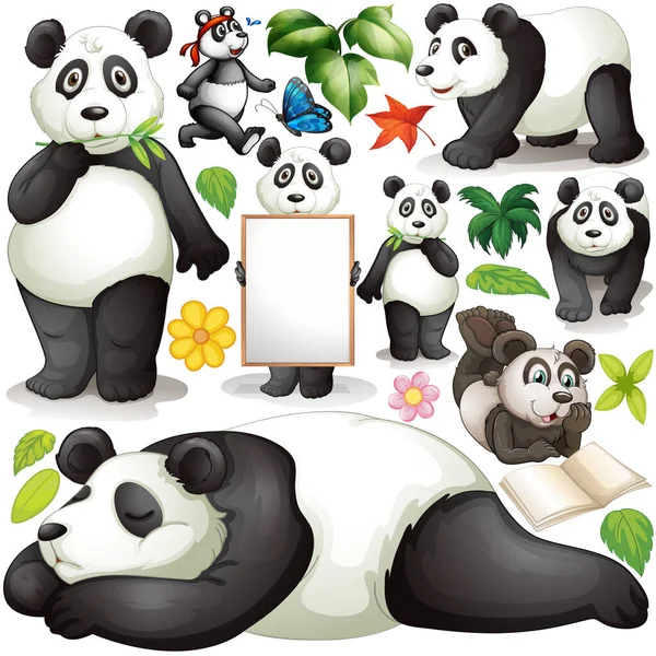 Panda Different Actions Illustration — Stock Vector