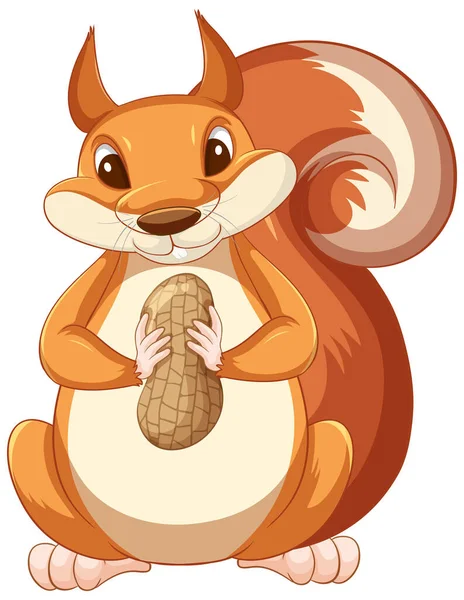 Cute Cartoon Squirrel Holding Peanut White Background Illustration — Stock Vector