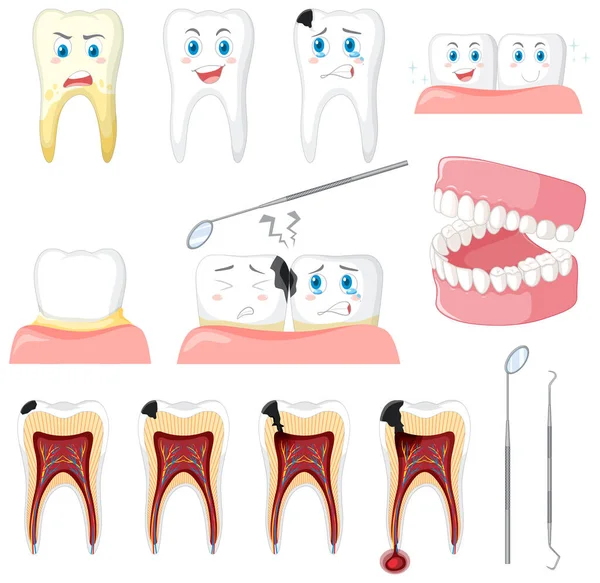 Conjunto Todos Los Tipos Dientes Sobre Fondo Blanco Ilustración — Archivo Imágenes Vectoriales