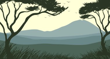 Orman sahnesinin gölgesi.