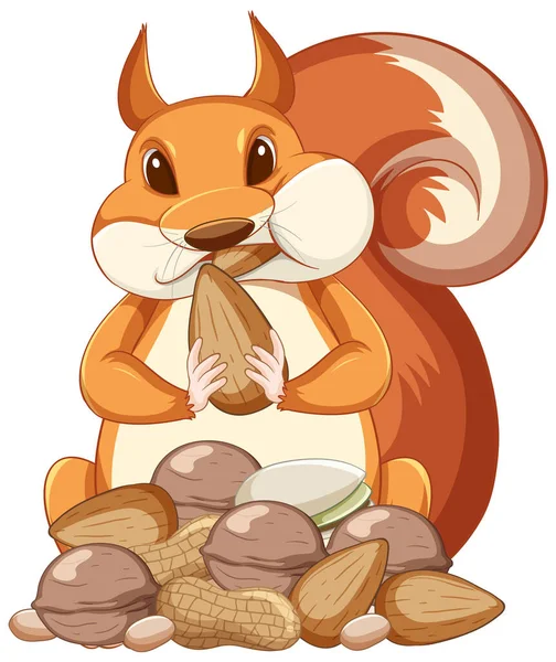 Cute Cartoon Squirrel Eating Peanuts White Background Illustration — Stock Vector