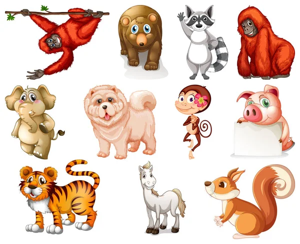 Conjunto Ilustración Personajes Dibujos Animados Animales — Vector de stock