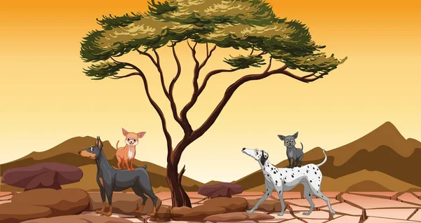 Conjunto Diferentes Animais Domésticos Campo Savana Pôr Sol Ilustração —  Vetores de Stock