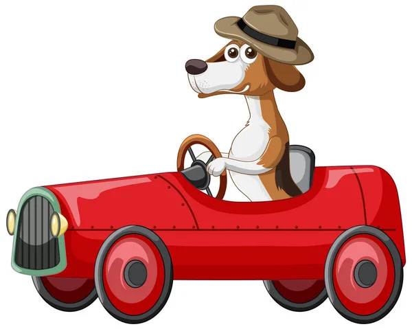 白い背景イラストで車を運転する面白い犬の漫画のキャラクター — ストックベクタ