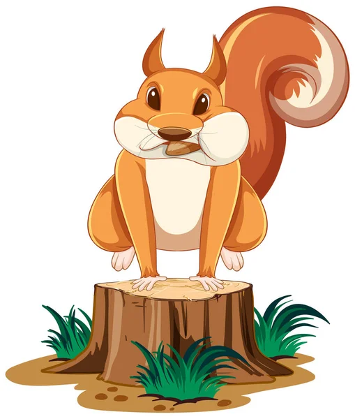 Nettes Cartoon Eichhörnchen Springt Auf Baumstumpf Mit Weißem Hintergrund Illustration — Stockvektor