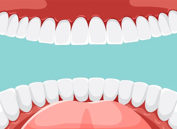 Ağızda Beyaz Dişli Insan Dişleri — Stok Vektör