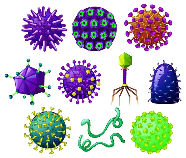 Ilustrasi Virus Dengan Bentuk Yang Berbeda - Stok Vektor