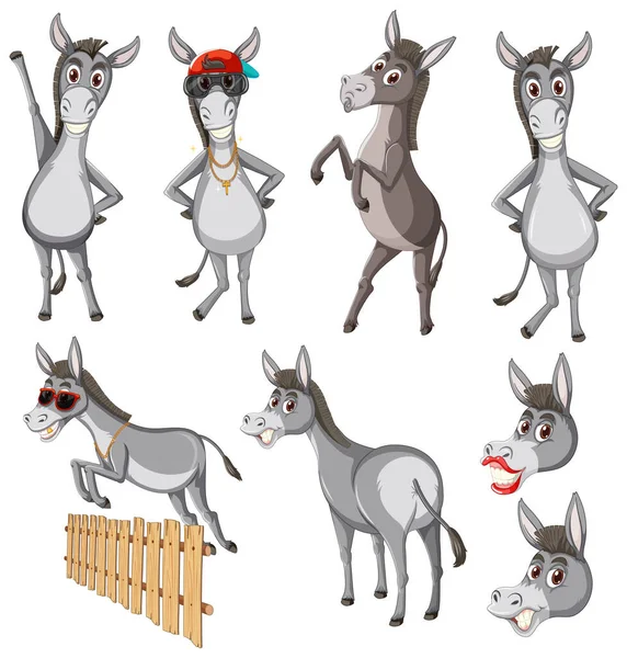 Burro Diferentes Ações Ilustração —  Vetores de Stock