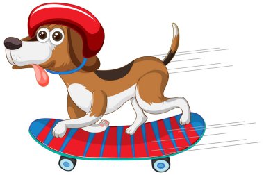 Beyaz arkaplanda paten yapan sevimli köpek yavrusu.