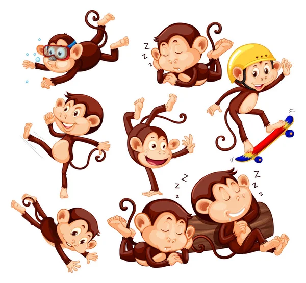 Conjunto Diferentes Poses Monos Dibujos Animados Personajes Ilustración — Vector de stock