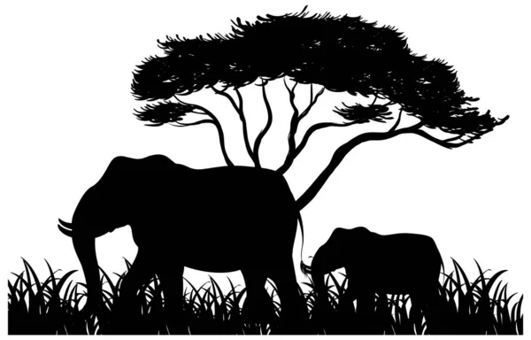 Silhouet Olifant Natuur Witte Achtergrond Illustratie — Stockvector