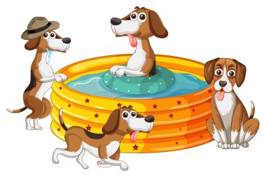 Plastik yüzme havuzunda şirin köpek yavruları partisi