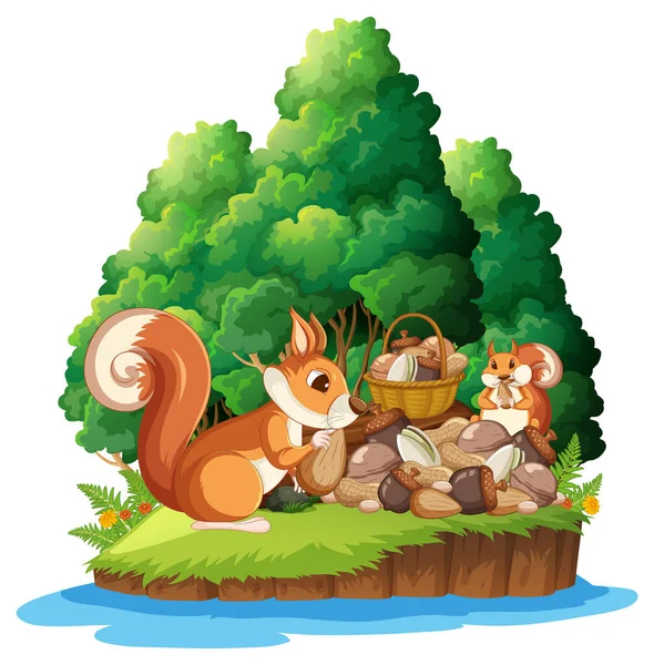 Squirrel Eating Nuts Island Illustration — Stock Vector