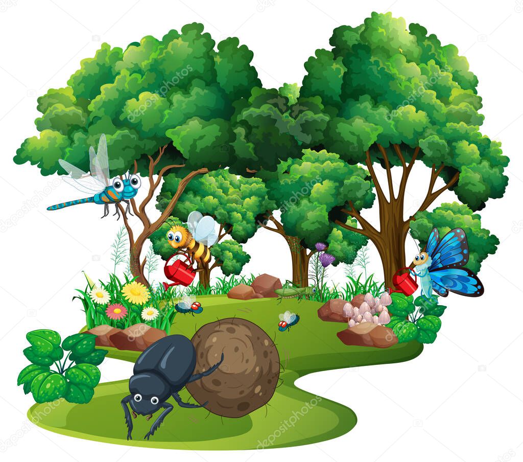 Cartoon insect and beetle in the forest  illustration