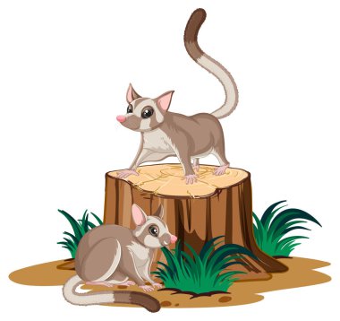 Kütük çiziminde iki şekerli planör