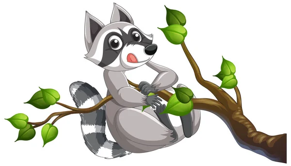 Raccoon Hanging Tree Branch Illustration — Stock Vector
