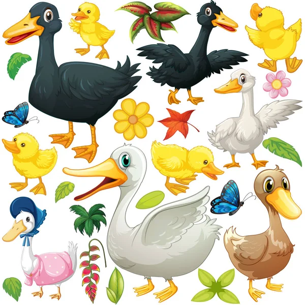 Many Ducks Ducklings Black White Illustration — Stock Vector