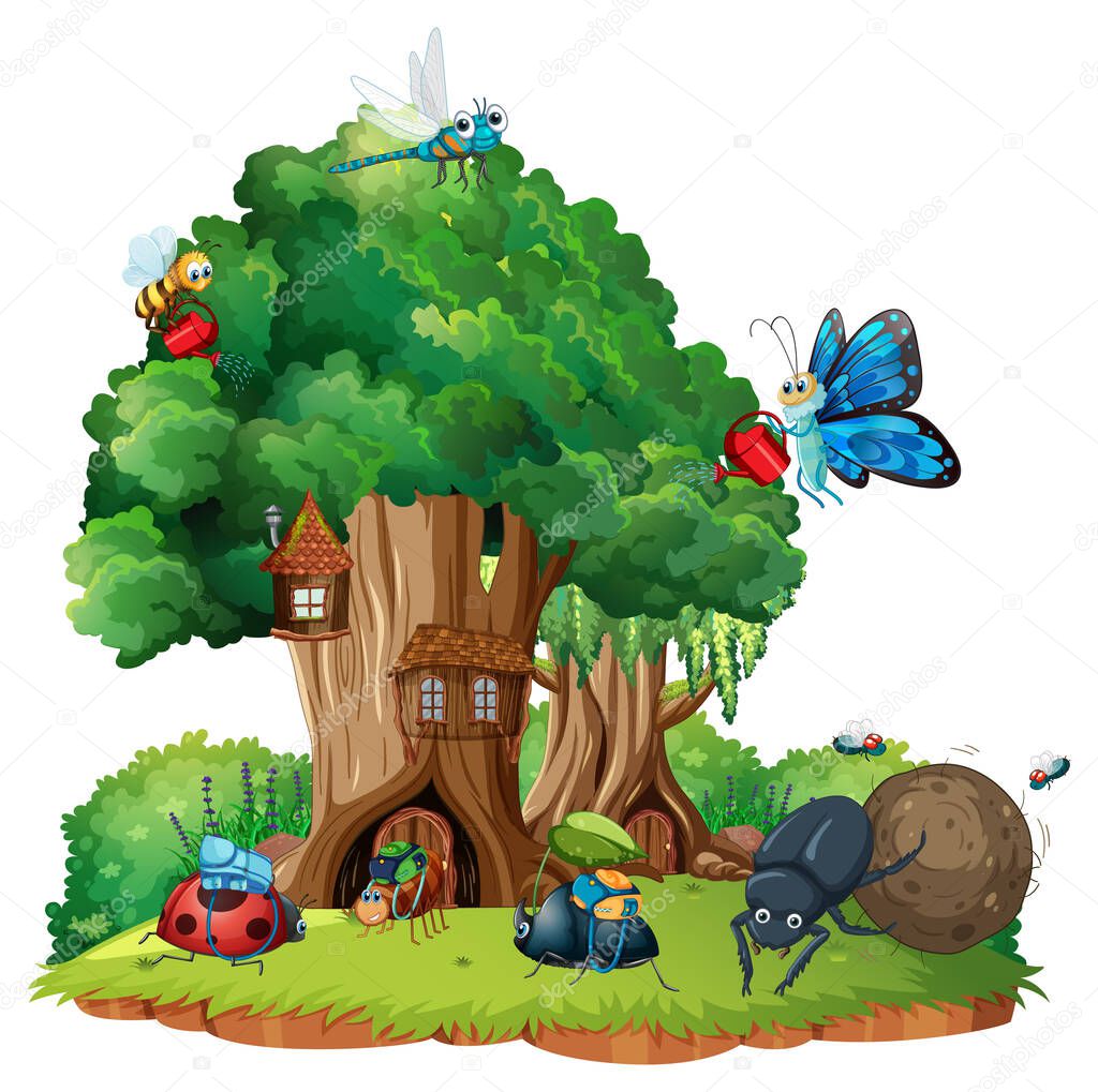 Cartoon insect and beetle in the forest  illustration