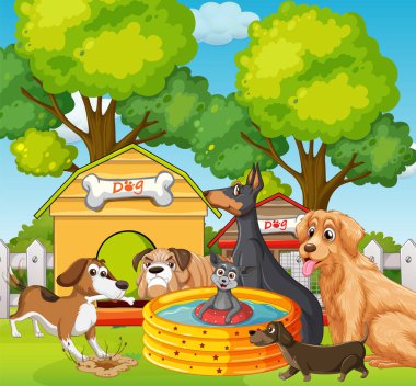 Bir grup farklı köpek parkın resimlerinde çeşitli aktiviteler yapıyor.