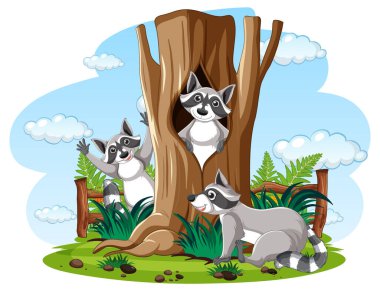 Bahçedeki resimde üç rakun var.