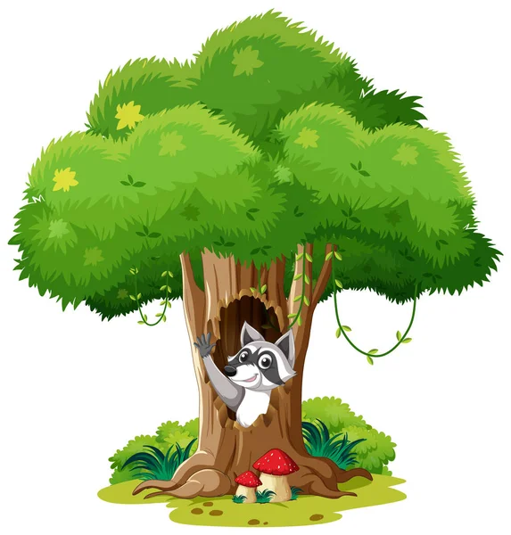 Cute Raccoon Hollow Tree Illustration — Stock Vector