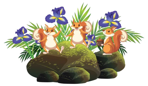 Cute Squirrels Group Animal Cartoon Illustration — Stock Vector