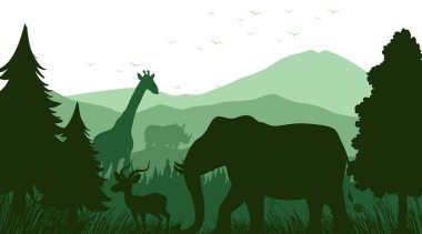 Orman sahnesinin gölgesi.