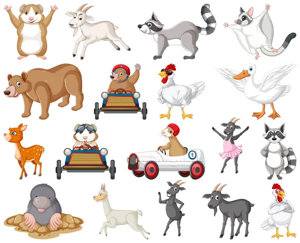 Conjunto Diferentes Tipos Ilustración Animales — Vector de stock