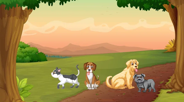 Set Van Verschillende Huisdieren Bos Illustratie — Stockvector