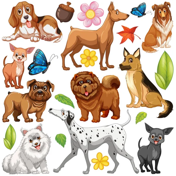 Different Types Dogs White Background Illustration — Stock Vector