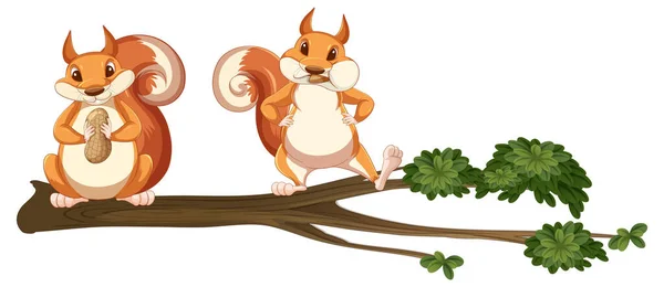 Squirrels Tree Branch Illustration — Stock Vector