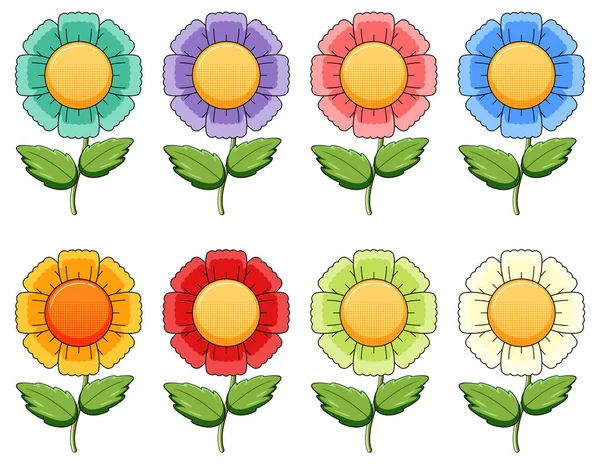 Set Colorful Flowers Illustration — Stock Vector