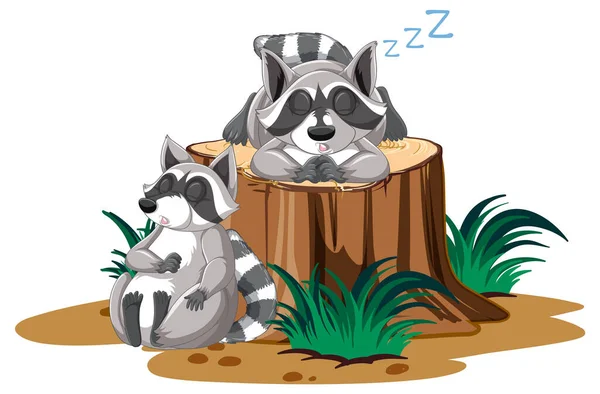 Dos Mapaches Durmiendo Ilustración Registro — Vector de stock