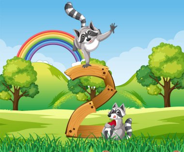 İki numaralı resimde iki rakun var.