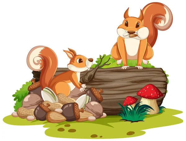 Garden Scene Cute Squirrel Illustration — Stock Vector