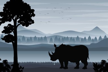 Orman sahnesinin gölgesi.