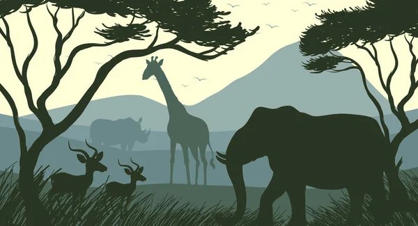 Orman sahnesinin gölgesi.