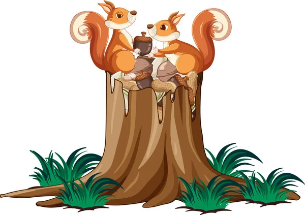 Dvě Veverky Ořechy Zahradní Ilustraci — Stockový vektor