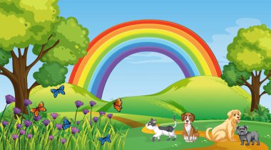 Doğa parkındaki farklı evcil hayvanlar.