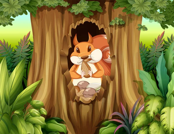 Scène Avec Des Écureuils Dans Illustration Forêt — Image vectorielle