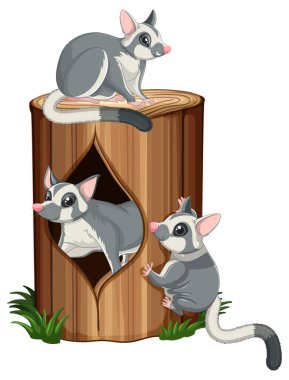 Kütük çiziminde üç şekerli planör