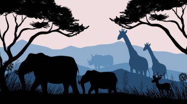 Orman sahnesinin gölgesi.