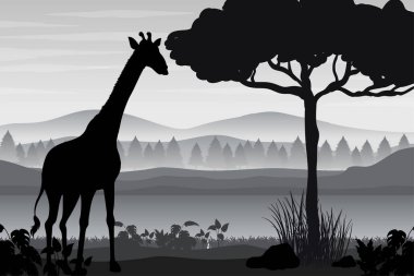 Orman sahnesinin gölgesi.